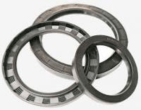 Сальник Terex (395611)