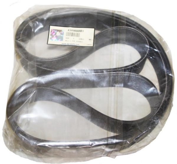 Ремень (Арт. 4349000M1) — изображение 1