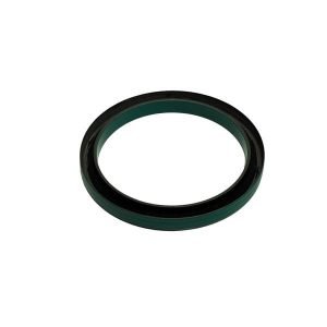 DZ111672 САЛЬНИК