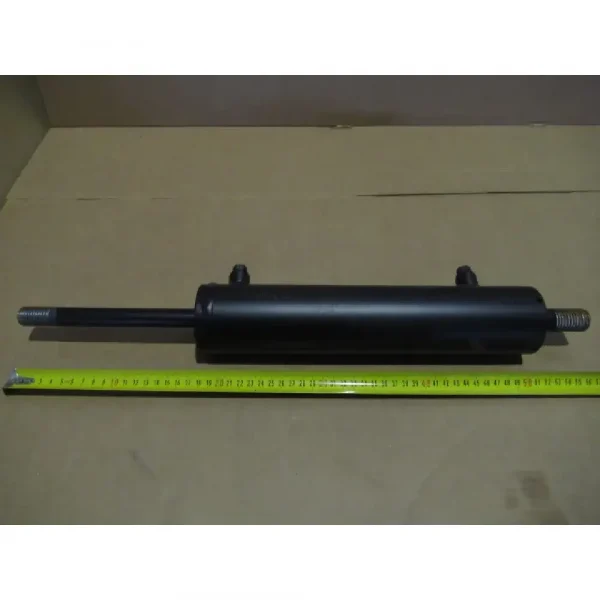 BG000554F1 Гидроцилиндр DS 25 RAL 9005 — изображение 1