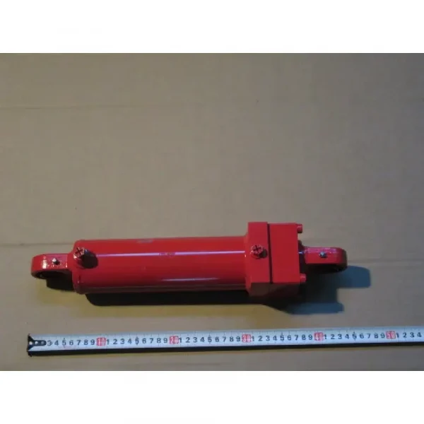 Гидроцилиндр BG001447 — изображение 1