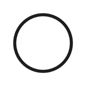 Кольцо уплотнительное N208245