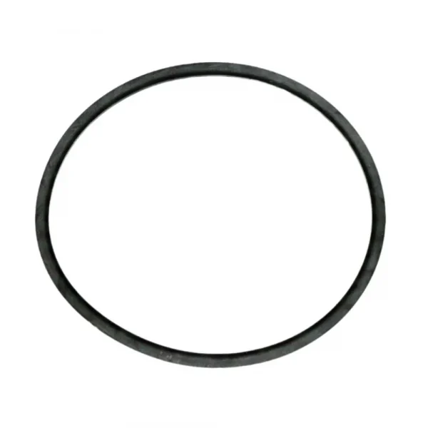 R120839 САЛЬНИК — изображение 1