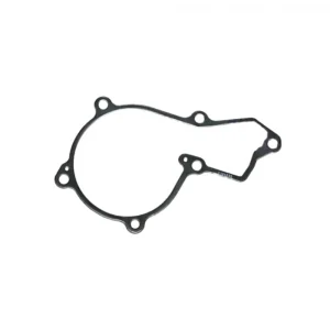 R504885 Прокладка под крышку помпы