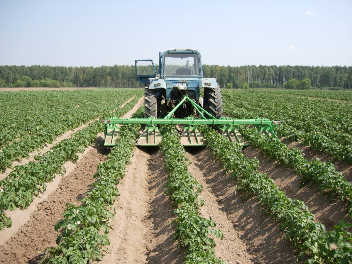 трактор для овощных работ
