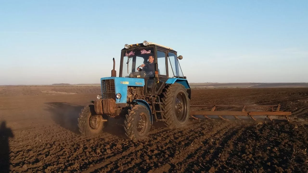 мтз 82 в поле