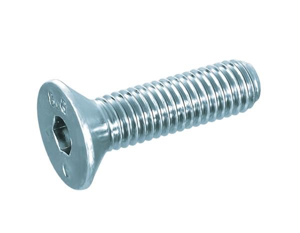 Винт TSP E.I. 8X20 ZN 7991